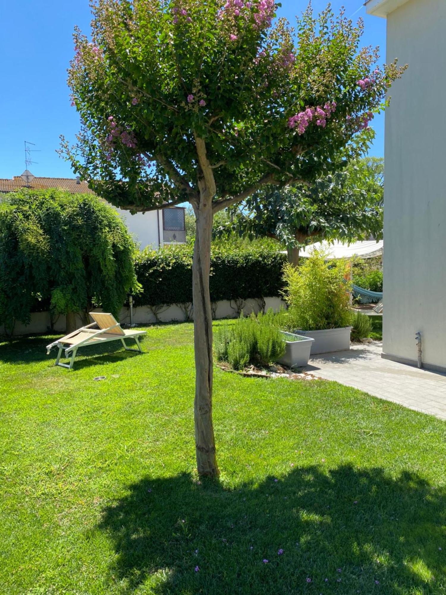 B&B Il Giardino Dello Yogi Savio di Ravenna Exterior foto